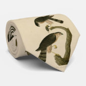 Cravate Buse à tête blanche des oiseaux d'Amérique d'Audub (Roulé)