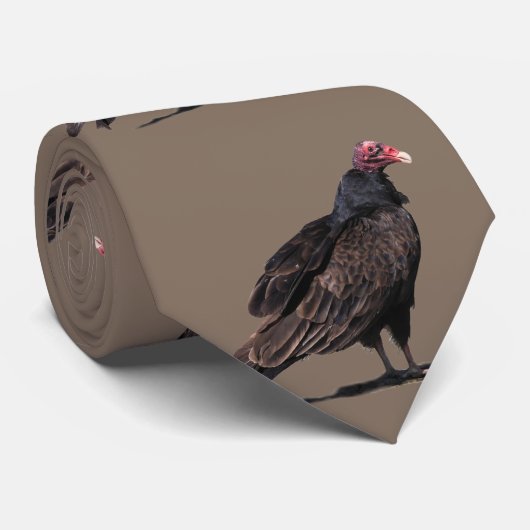 CRAVATE BUZARD (Roulé)