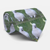 Cravate Cacatoès (Roulé)