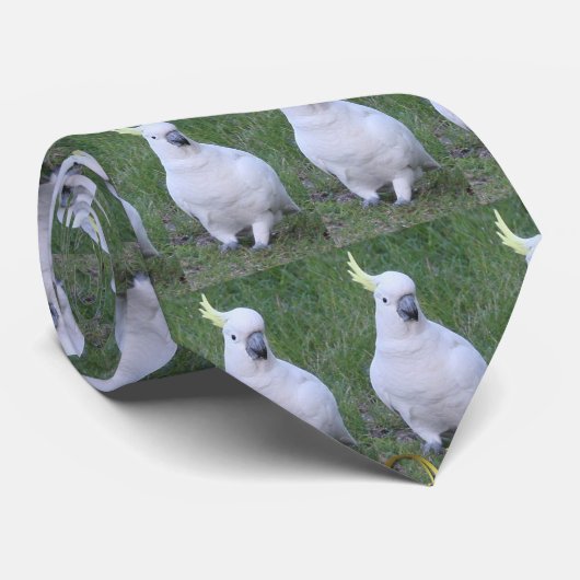 Cravate Cacatoès (Roulé)