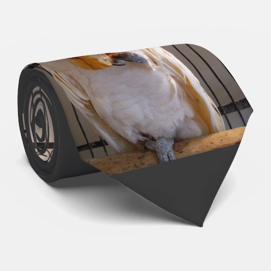 Cravate Cacatoès (Roulé)