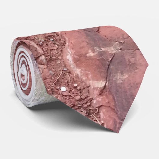 Cravate Cactus de désert (Roulé)