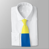 Cravate Cadeau FORT de Boston (Attaché)