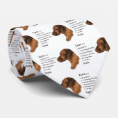 Cravate Cadeaux d'art Vizsla (Roulé)