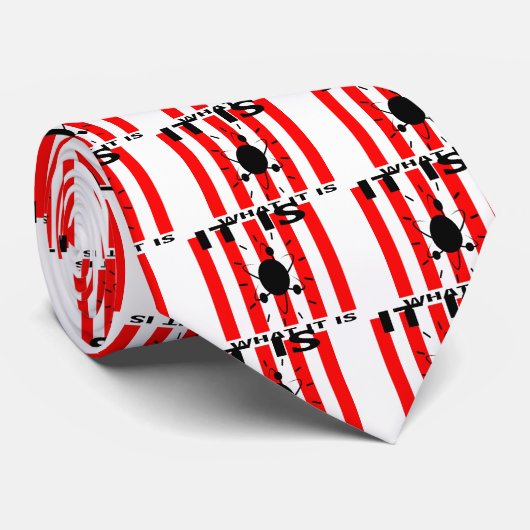 Cravate Cadeaux de Bazinga (Roulé)