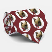 Cravate Cadeaux de Noël Briard (Roulé)