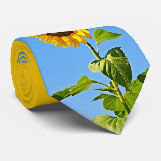 Cravate cadran (Roulé)