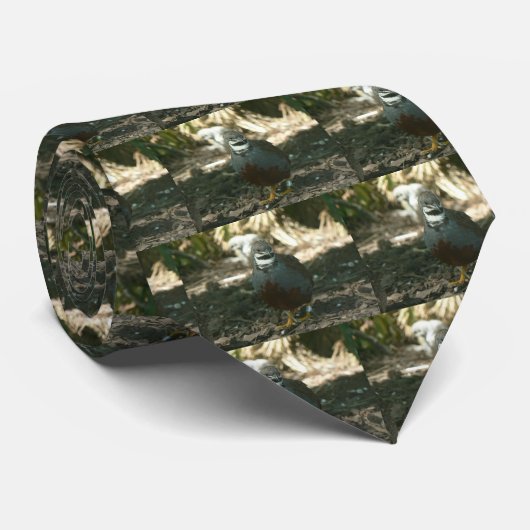 Cravate Cailles (Roulé)