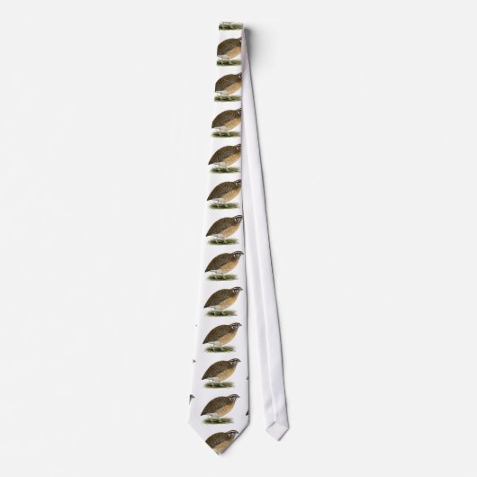 Cravate Cailles de pharaon de Coturnix (Devant)