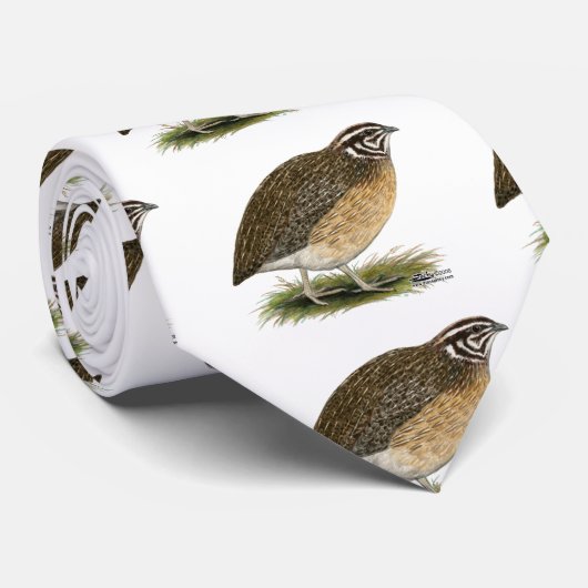 Cravate Cailles de pharaon de Coturnix (Roulé)
