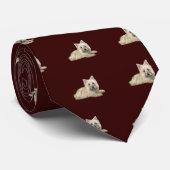 Cravate Cairn Terrier (blé) - couché (Roulé)
