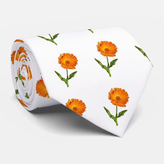 Cravate - Calendula (Roulé)