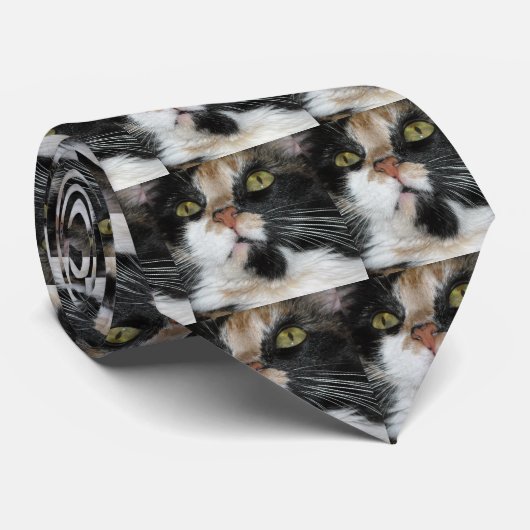 Cravate Calico Cat (Roulé)