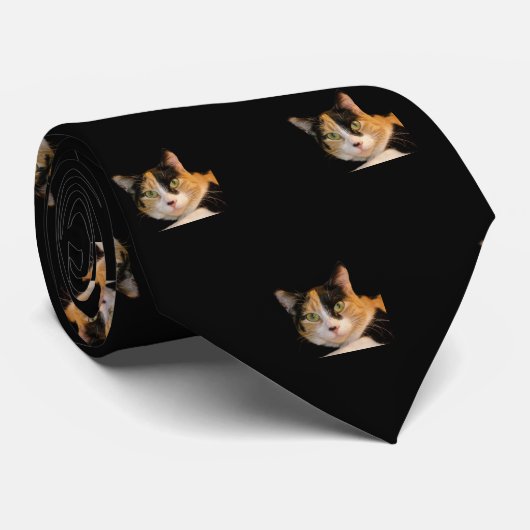Cravate Calico Cat (Roulé)