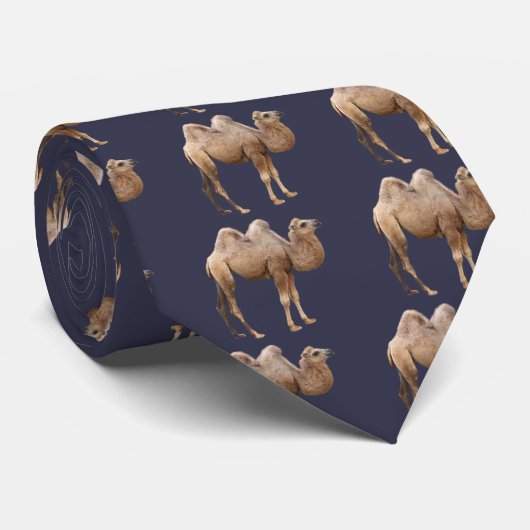 Cravate Camel (Roulé)