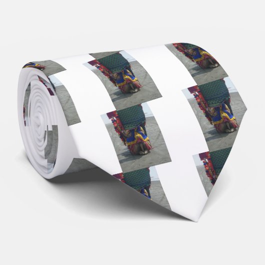 Cravate Camel on the toes (Roulé)