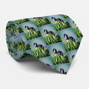 Cravate Canada Oie Irises Nature Art Blue