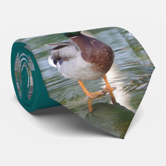 Cravate Canard de Mallard (Roulé)