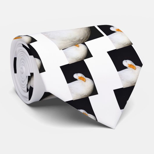 Cravate Canard mignon (Roulé)