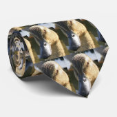 Cravate Canard que vous attachez (Roulé)