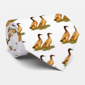 Cravate Canards :  Campbell kaki (Roulé)
