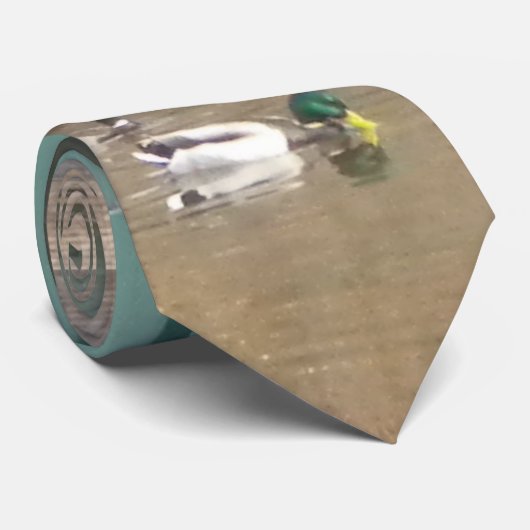 Cravate Canards colverts dans l'étang (Roulé)