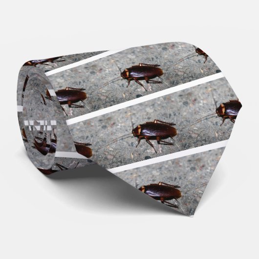 Cravate Cancrelat ! (Roulé)