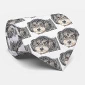 CRAVATE CANICHE (Roulé)