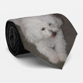 Cravate Caniche (Roulé)