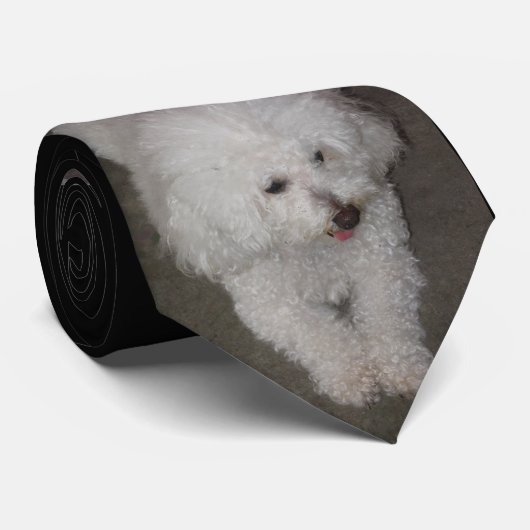 Cravate Caniche (Roulé)