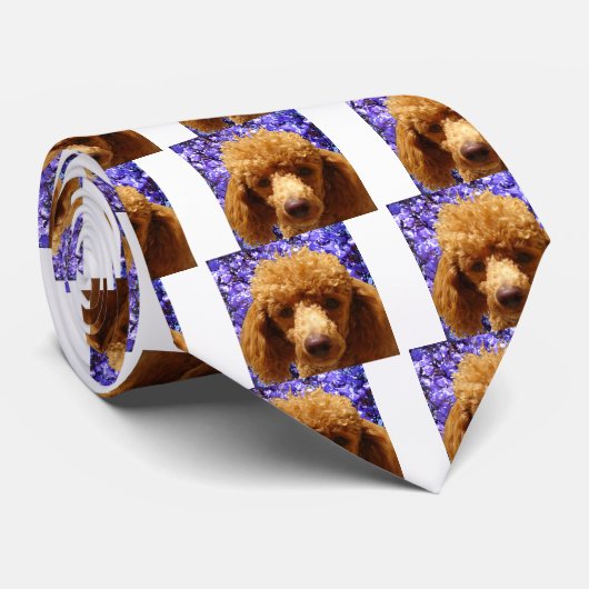 Cravate Caniche mignon (Roulé)