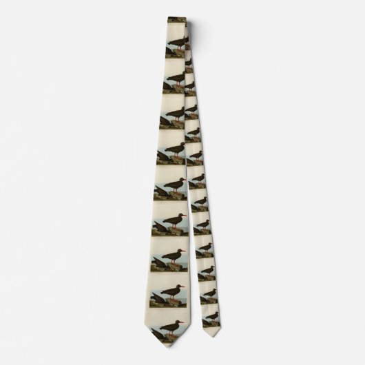 Cravate Capteur d'huîtres à pattes blanches, Audubon Birds (Devant)