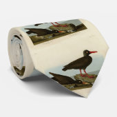 Cravate Capteur d'huîtres à pattes blanches, Audubon Birds (Roulé)