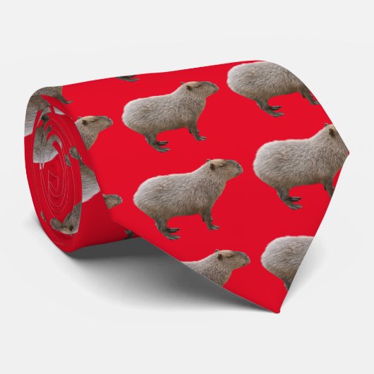 Cravate Capybara (Roulé)