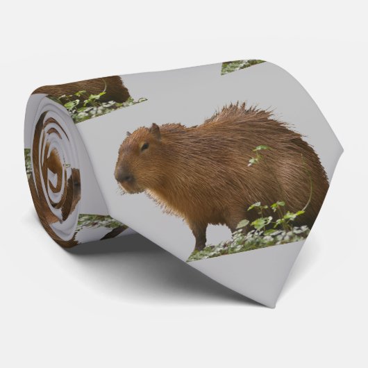 Cravate Capybara (Roulé)