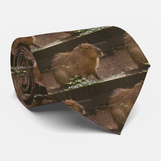 Cravate Capybara (Roulé)