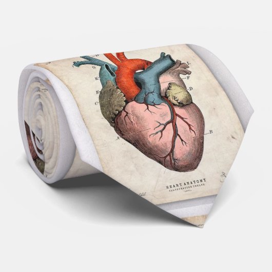 Cravate cardiaque (Roulé)