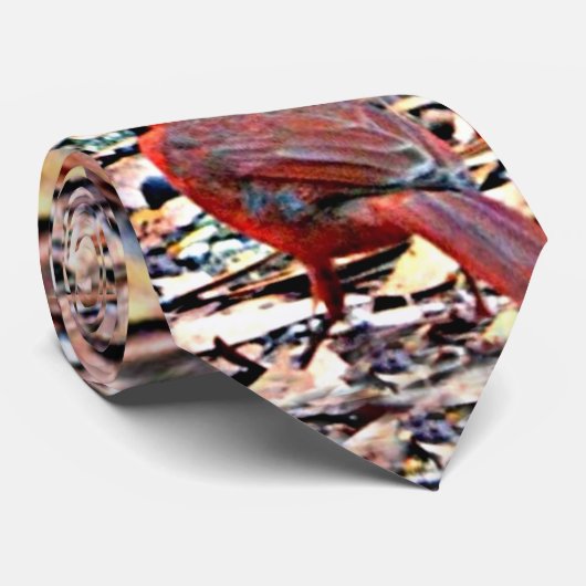 Cravate Cardinal (mâle) (Roulé)