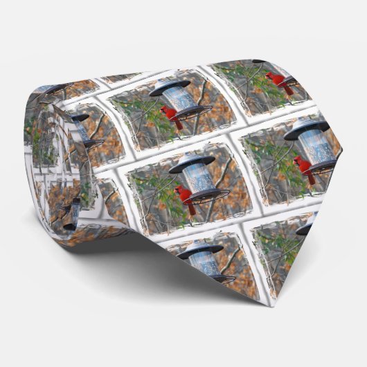 Cravate Cardinal masculin (Roulé)