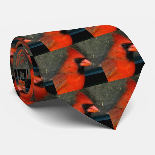 Cravate cardinale - customisée - customisée (Roulé)