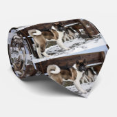 Cravate carrelage noir akita brun plein (Roulé)