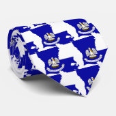 Cravate Carte de drapeau de la Louisiane (Roulé)