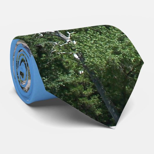 Cravate Cascade de Yosemite (Roulé)