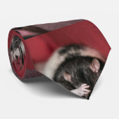 Cravate Casque (Roulé)