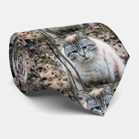 Cravate Cat (Roulé)