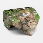 Cravate Cat (Roulé)