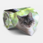 Cravate Cat (Roulé)