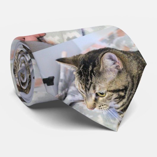 Cravate Cat (Roulé)