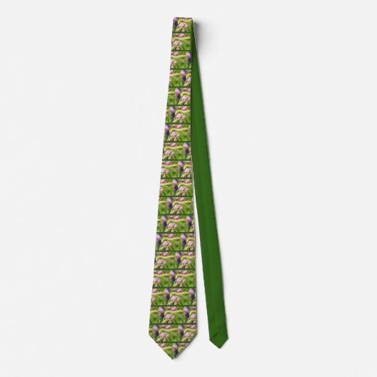 Cravate Caterpillar of Privet Hawk Moth papillon (Devant)