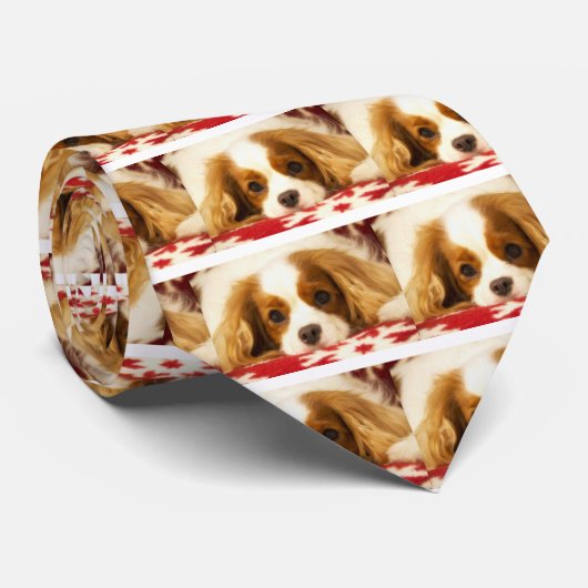 Cravate Cavalier King Charles Spaniel flocon de neige (Roulé)